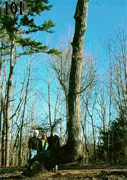 Dennis Downes Trail Tree Research