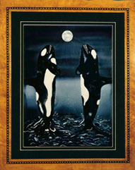 Orca Moon -click to enlarge