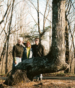 trail tree